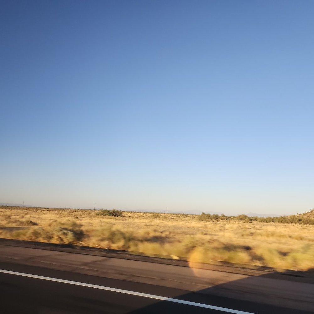 Meet your Posher, Lilli